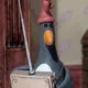 NoahvdAa's avatar