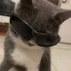 etil2jz's avatar