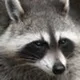 Md5Lukas's avatar