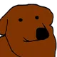 Jokni's avatar